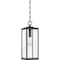 Quoizel Westover 1-Light Earth Black Outdoor Hanging Lantern WVR1907EK - alternate 4
